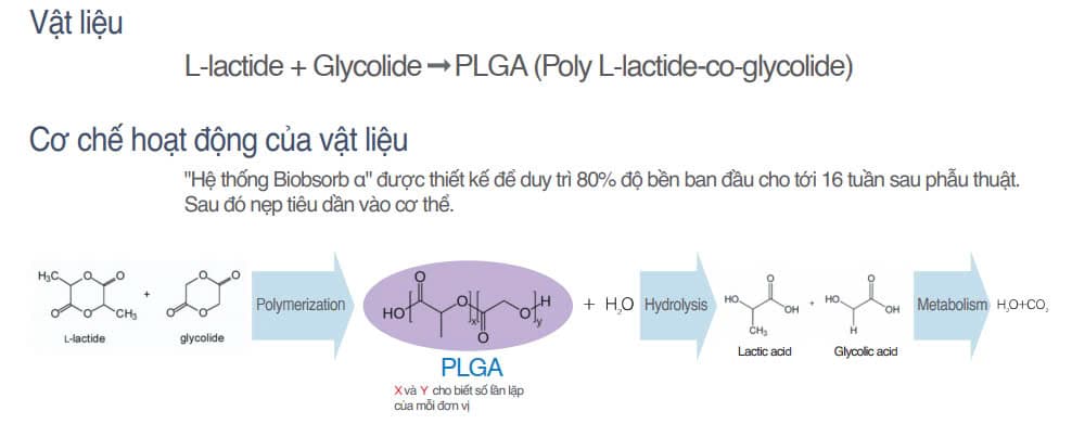 Ảnh lưu trữ bài viết Endotine-Biobsorb Fixtine - Dụng Cụ Sinh Học Tự Tiêu Đột Phá Trong Kỹ Thuật Căng Da Mặt